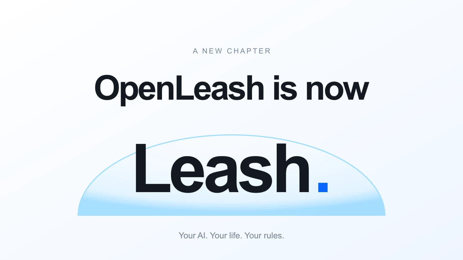 OpenLeash is now Leash, with the Leash name inside a translucent blue protective dome